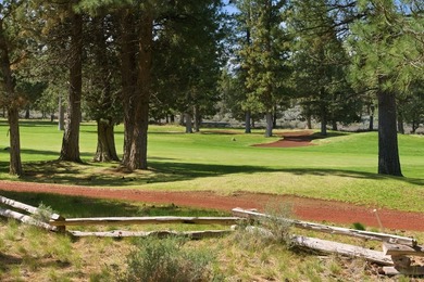 Located on the golf course, with mountain views, this NW lodge - photo 32