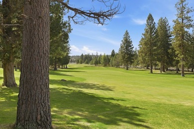 Located on the golf course, with mountain views, this NW lodge - photo 45