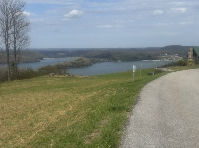 0.66 AC W/ A YEAR AROUND DALE HOLLOW LAKE - photo 17