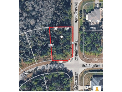 Lehigh Acres Area Lot For Sale in Lehigh Acres Florida