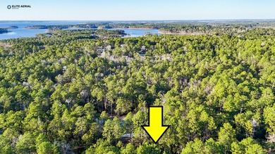 Lake Sam Rayburn  Lot For Sale in Brookeland Texas