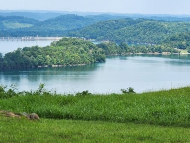 0.66 AC W/ A YEAR AROUND DALE HOLLOW LAKE - photo 1