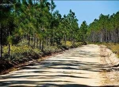 Build your dream home on this canal front lot with Bay access - photo 8