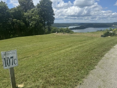 0.66 AC W/ A YEAR AROUND DALE HOLLOW LAKE - photo 16