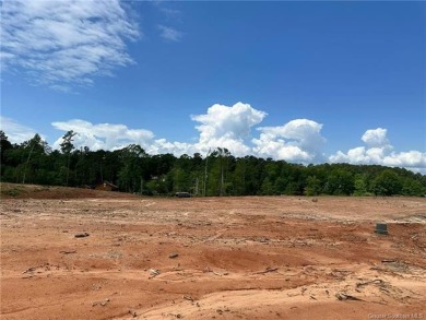 Toledo Bend Reservoir Lot For Sale in Florien Louisiana