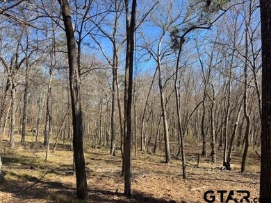 Peaceful, private lake living awaits on this beautiful 4+ acre - photo 3