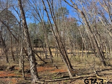 Peaceful, private lake living awaits on this beautiful 4+ acre - photo 8