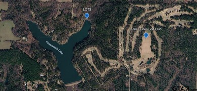 Peaceful, private lake living awaits on this beautiful 4+ acre - photo 9