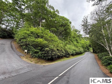 PRIME VIEW home site on 0.8 acres, high atop the Old Edwards - photo 2