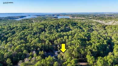 Lake Lot For Sale in Brookeland, Texas