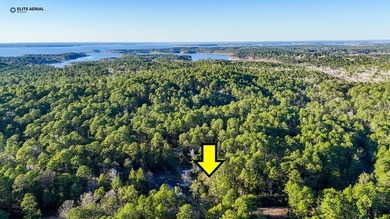 Lake Sam Rayburn  Lot For Sale in Brookeland Texas