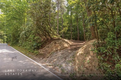 A 1.02-acre homesite in Lake Toxaway Estates, set within one of - photo 2