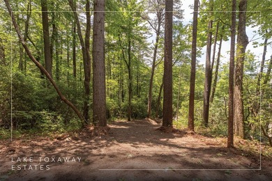 A 1.02-acre homesite in Lake Toxaway Estates, set within one of - photo 3