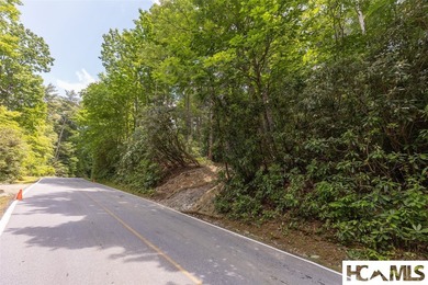 A 1.02-acre homesite in Lake Toxaway Estates, set within one of - photo 4