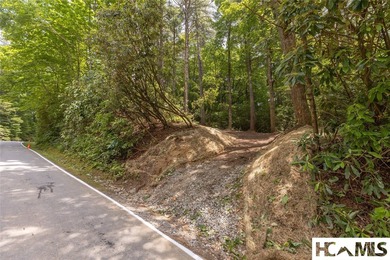 A 1.02-acre homesite in Lake Toxaway Estates, set within one of - photo 5