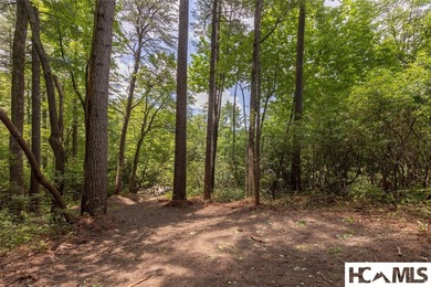 A 1.02-acre homesite in Lake Toxaway Estates, set within one of - photo 6