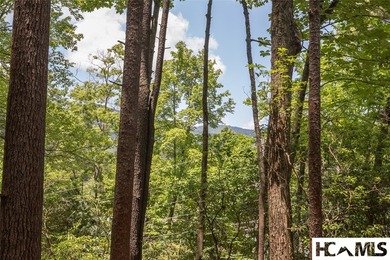 A 1.02-acre homesite in Lake Toxaway Estates, set within one of - photo 7
