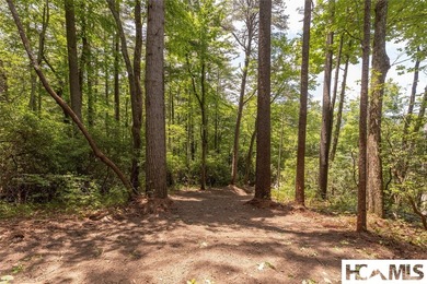 A 1.02-acre homesite in Lake Toxaway Estates, set within one of - photo 8