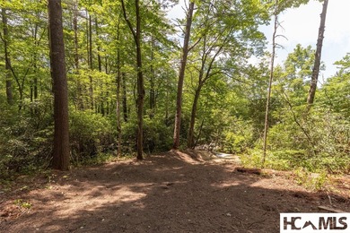 A 1.02-acre homesite in Lake Toxaway Estates, set within one of - photo 9