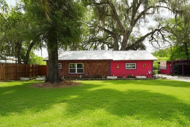 Tsala Apopka Chain of Lakes Home For Sale in Floral City Florida