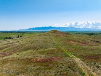 (private lake, pond, creek) Acreage For Sale in Twin Bridges Montana
