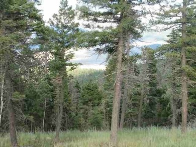 Monte Verde Lake Acreage For Sale in Angel Fire New Mexico