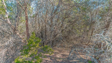 Welcome to the pristine White Bluff Resort Community offering - photo 13