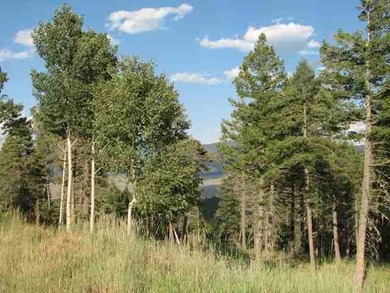 Additional listing photo 2