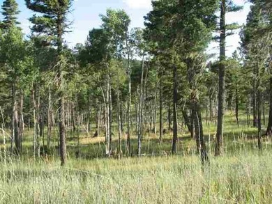 Additional listing photo 3