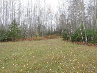 Very spacious and private location. Walking distance to the lake - photo 32