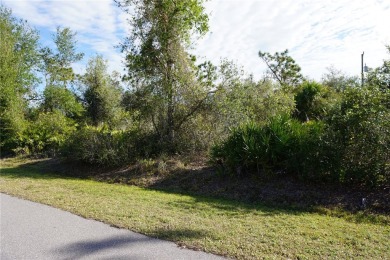 Peace River Lot For Sale in Punta Gorda Florida