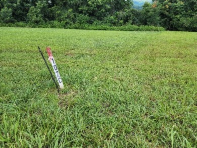 0.66 AC W/ A YEAR AROUND DALE HOLLOW LAKE - photo 2