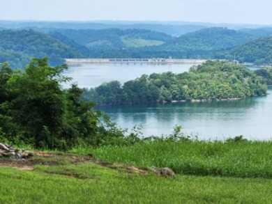 0.66 AC W/ A YEAR AROUND DALE HOLLOW LAKE - photo 8