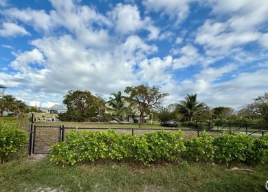 This Vacant Residential Waterfront Large Corner Lot is a Must - photo 5