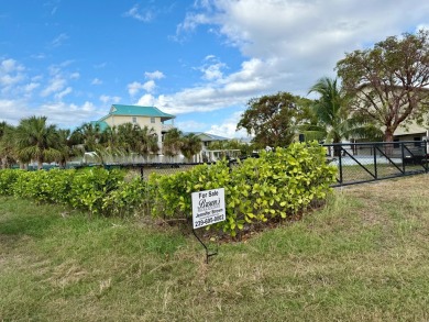 This Vacant Residential Waterfront Large Corner Lot is a Must - photo 6