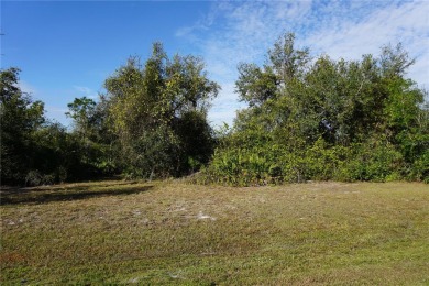 Peace River Lot For Sale in Punta Gorda Florida