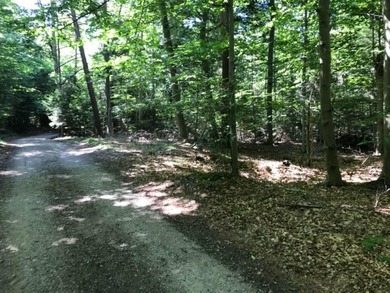 Picturesque hidden gem in a gated community with low bluff - photo 7