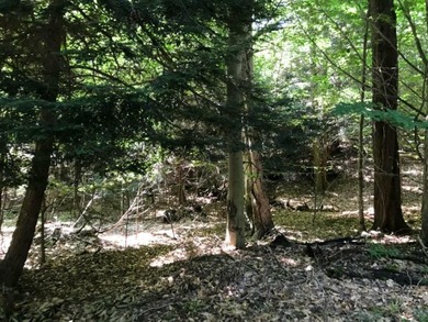 Picturesque hidden gem in a gated community with low bluff - photo 8