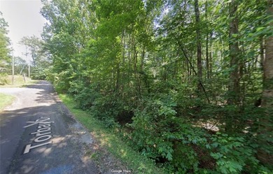 Lake Hartwell Lot For Sale in Westminster South Carolina