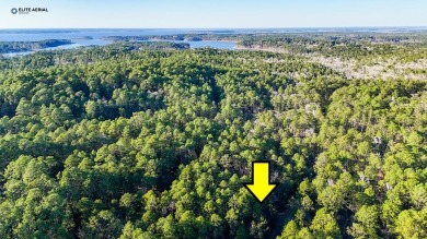 Lake Sam Rayburn  Lot For Sale in Brookeland Texas
