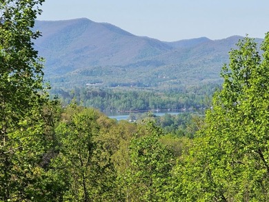 (private lake, pond, creek) Acreage For Sale in Hayesville North Carolina