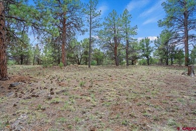 Kari L Girard, Ponderosa Real Estate The Source For Real Estate - photo 11