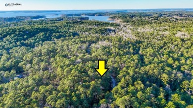 Lake Sam Rayburn  Lot For Sale in Brookeland Texas