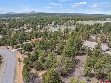 Kari L Girard, Ponderosa Real Estate The Source For Real Estate - photo 12