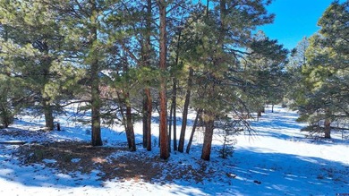 Kari L Girard, Ponderosa Real Estate The Source For Real Estate - photo 20