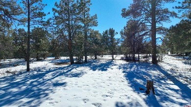 Kari L Girard, Ponderosa Real Estate The Source For Real Estate - photo 21