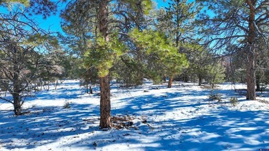 Kari L Girard, Ponderosa Real Estate The Source For Real Estate - photo 23
