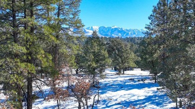 Kari L Girard, Ponderosa Real Estate The Source For Real Estate - photo 24