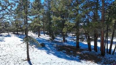 Kari L Girard, Ponderosa Real Estate The Source For Real Estate - photo 25