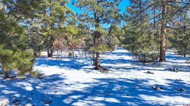 Kari L Girard, Ponderosa Real Estate The Source For Real Estate - photo 26
